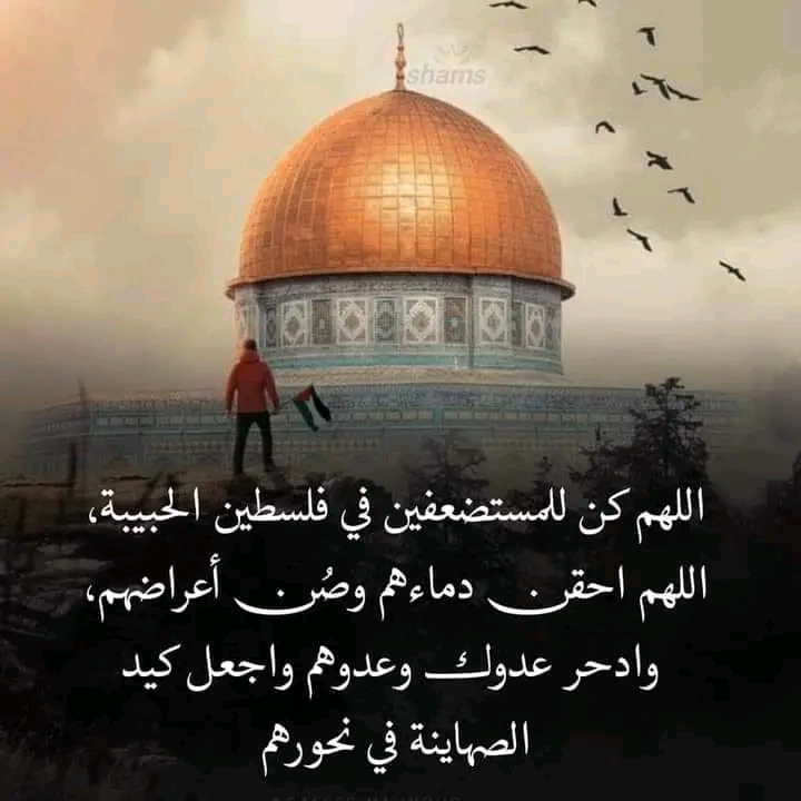 دعاء لأهل فلسطين في يوم الجمعة.."اللهم قد ضاقت بهم الأرض بما رحبت وليس لهم سواك فانصرهم"