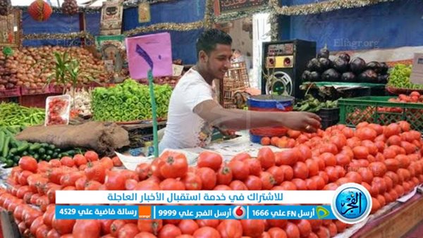 ” استقرار بعد مبادرة التخفيض”.. أسعار الخضروات والفاكهة بأسواق الجملة اليوم الجمعة 17 نوفمبر