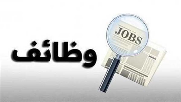 محافظة الجيزة توفر فرص عمل بمرتبات مجزية