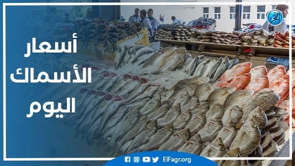 أسعار الأسماك اليوم الجمعة 13-10-2023 في الدقهلية