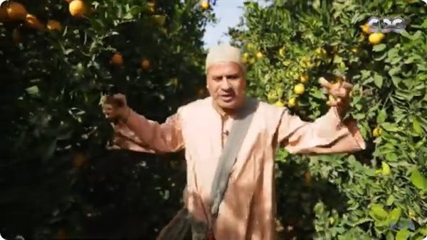 “بالجلابية والطاقية”.. شاهد|جابر القرموطي يقطف البرتقال من داخل مزارع النوبارية