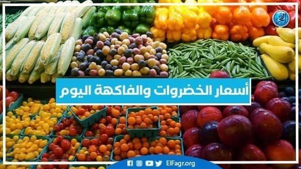 أسعار الخضراوات والفاكهة اليوم في الأقصر اليوم الإثنين 29-1-2024