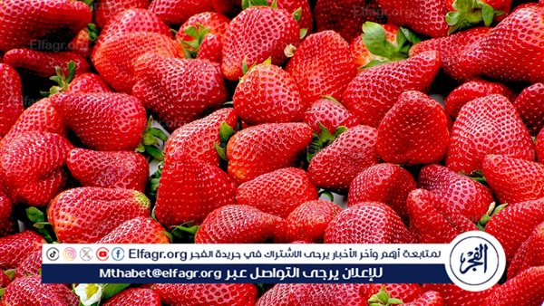 أسعار الخضروات والفاكهة اليوم 17-6-2024 للمُستهلك بسوق العبور وبجميع اسواق الجمهورية