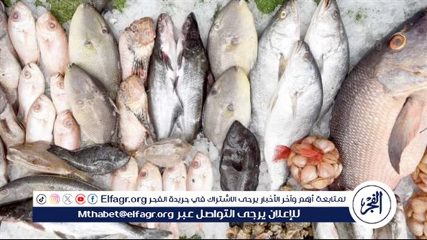 أسعار السمك والجمبري اليوم بتاريخ 7 مارس 2024 في سوق العبور