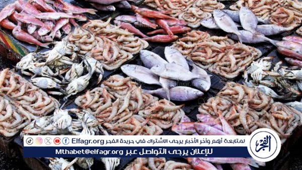 أسعار السمك والجمبري اليوم 1-7-2024 بسوق العبور
