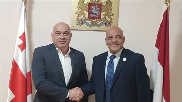 سفير دولة جورجيا يستقبل رئيس جامعة أسوان لبحث سبل التعاون المشترك