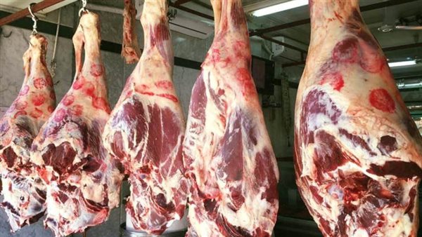 أسعار اللحوم البلدي والكندوز اليوم الثلاثاء 11-6-2024 في الأسواق ومحال الجزارة بقنا