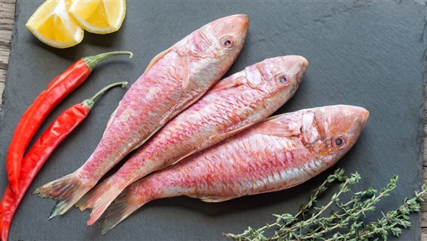 أسعار السمك البلطي والبوري اليوم الجمعة 14-6-2024 في محافظة المنيا