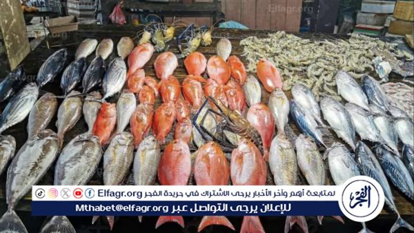 استقرار أسعار السمك اليوم في الأسواق المصرية بعد عيد الأضحى