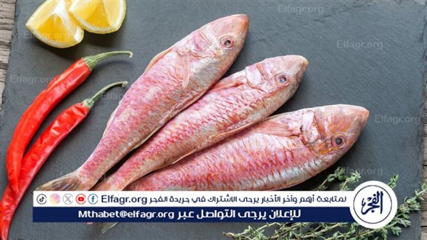 أسعار السمك البلطي والبوري اليوم السبت 29-6-2024 في محافظة المنيا