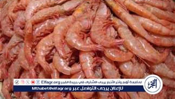 أسعار الجمبري اليوم السبت 6-7-2024 في محافظة المنيا