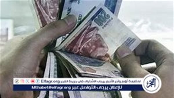 أفضل شهادات ادخار بعائد مرتفع من البنوك الحكومية المصرية