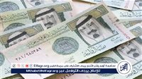 عاجل | تراجع سعر الريال السعودي أمام الجنيه داخل البنوك في تعاملات اليوم السبت 21-9-2024 