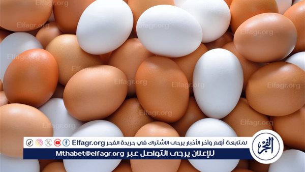 استقرار أسعار البيض في السوق وسط تراجع أسعار الدواجن